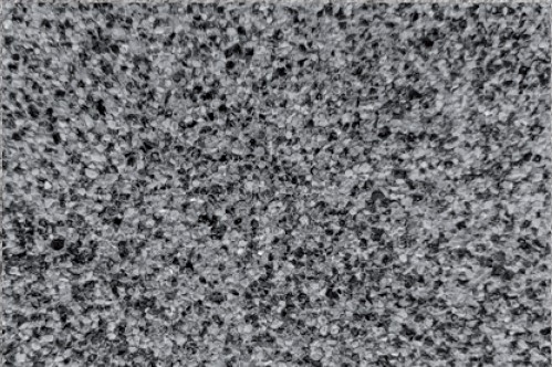 Granit prana – sivo crna